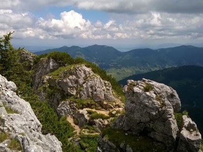 Holiday apartment Annemarie Huber - Environment photo 20