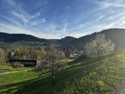 Holiday apartment Morlok - Outdoor photo 10