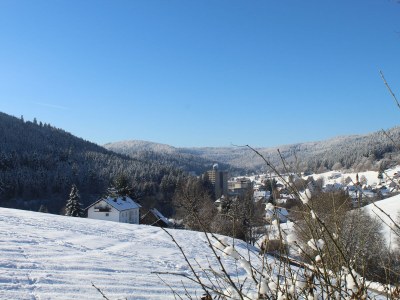 Holiday apartment Morlok - Outdoor photo 12