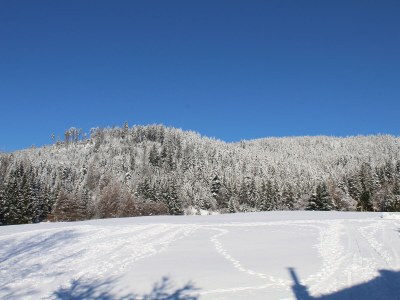 Holiday apartment Morlok - Outdoor photo 13