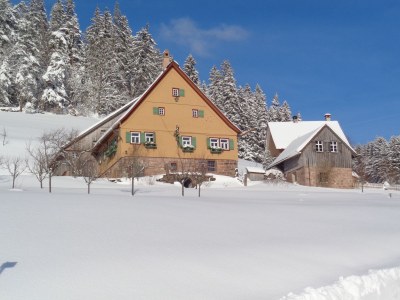 Holiday apartment Morlok - Environment photo 25