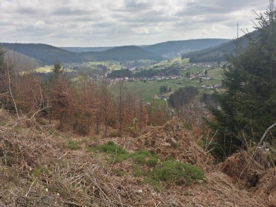 Holiday apartment Morlok - Environment photo 29