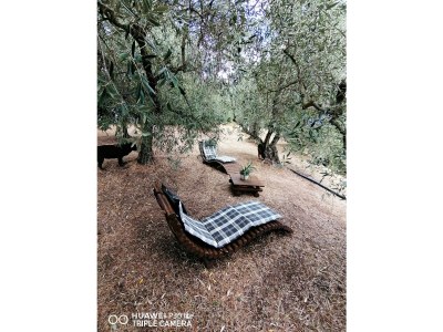 Holiday house Podere Jolanda - Outdoor photo 6