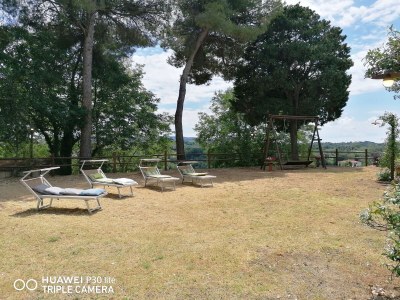 Holiday house Podere Jolanda - Outdoor photo 7