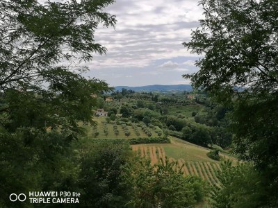 Holiday house Podere Jolanda - Outdoor photo 10