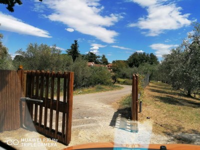 Holiday house Podere Jolanda - Environment photo 29