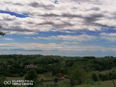 Holiday house Podere Jolanda - Environment photo 30