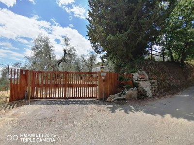 Holiday house Podere Jolanda - Environment photo 31