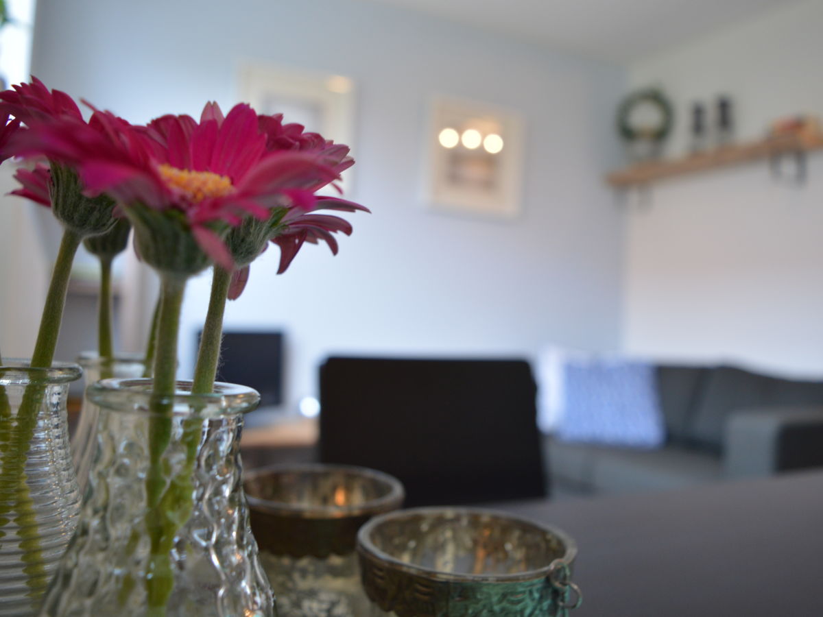 Holiday apartment De Suihoek - Outdoor photo 4