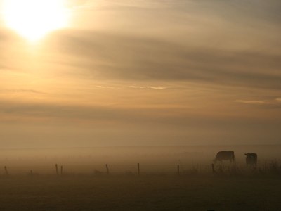 Holiday apartment De Suihoek - Environment photo 11