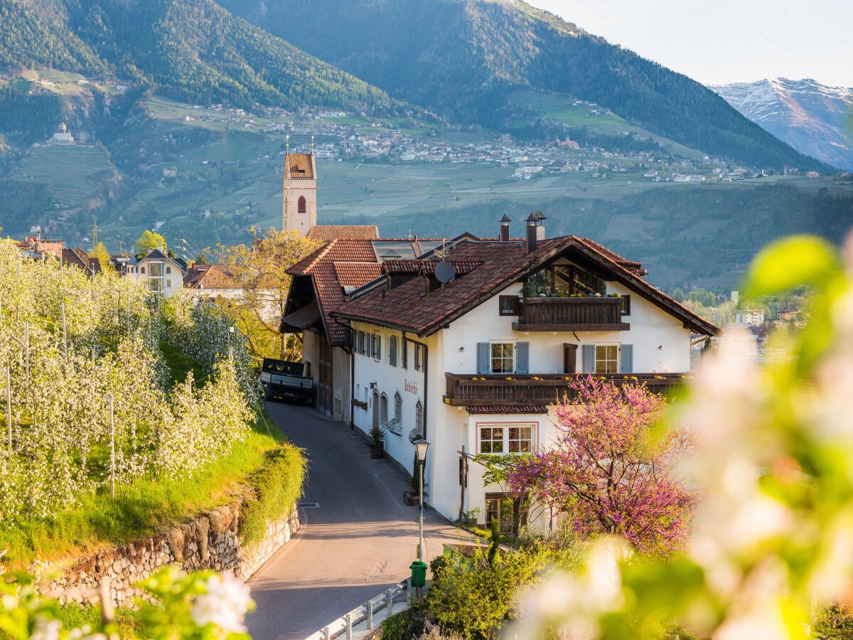 Holiday apartment Pergola at Pardellerhof