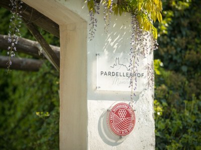 Holiday apartment Pergola at Pardellerhof - Outdoor photo 3