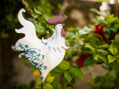 Holiday apartment Pergola at Pardellerhof - Outdoor photo 4