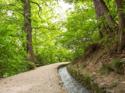 Holiday apartment Pergola at Pardellerhof - Environment photo 19