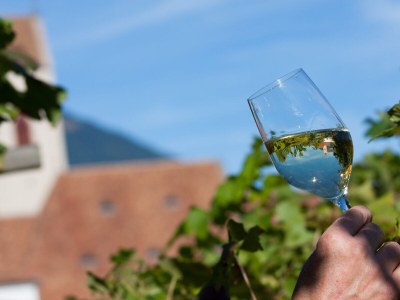 Holiday apartment Pergola at Pardellerhof - Environment photo 28