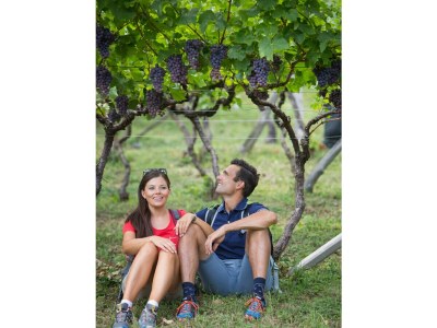 Holiday apartment Pergola at Pardellerhof - Environment photo 31