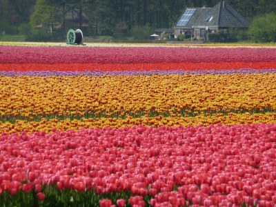 Holiday house Helene - Environment photo 12