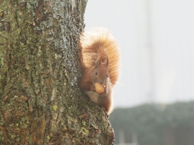 Holiday apartment Wiebers & Voigt - Outdoor photo 19