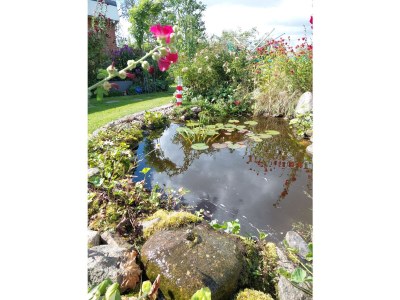 Holiday apartment Wiebers & Voigt - Outdoor photo 21