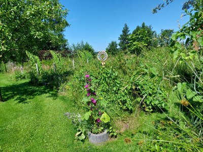 Holiday apartment Wiebers & Voigt - Outdoor photo 23