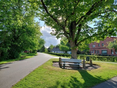 Holiday apartment Wiebers & Voigt - Outdoor photo 24