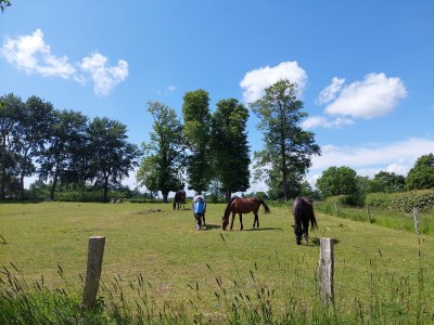 Holiday apartment Wiebers & Voigt - Environment photo 30