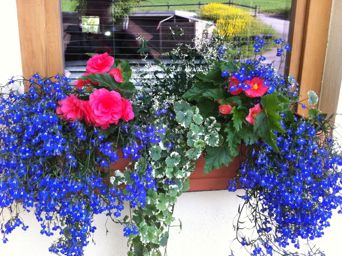 Holiday apartment "Bärental" - Outdoor photo 3