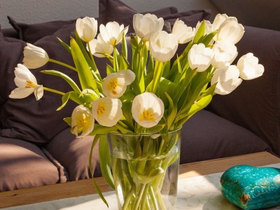 Holiday apartment "Bärental" - Features photo 17