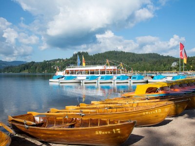 Holiday apartment "Bärental" - Environment photo 26