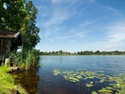 Holiday apartment Inge Mörschburger - Outdoor photo 4