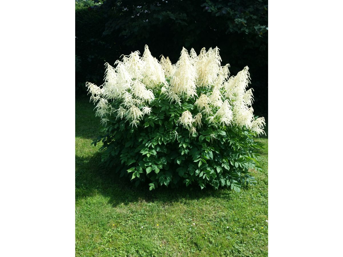 Holiday house Ferienhaus Tina - Outdoor photo 4