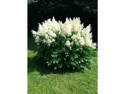 Holiday house Ferienhaus Tina - Outdoor photo 4