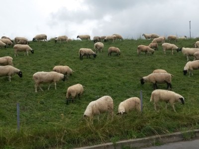 Holiday house Ferienhaus Tina - Environment photo 24