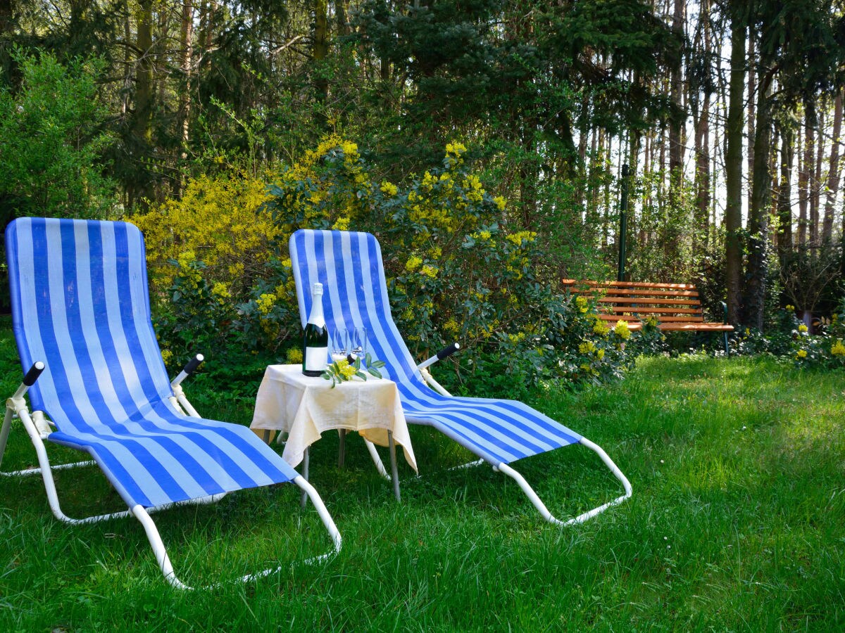 Holiday apartment Nimtz - Outdoor photo 4