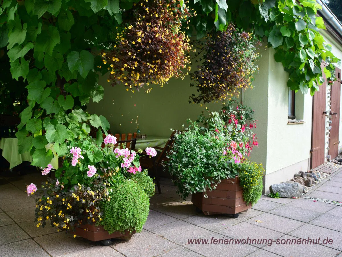 Holiday apartment Nimtz - Outdoor photo 5