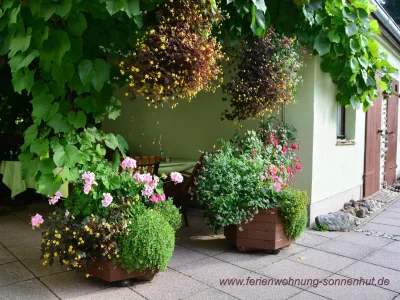 Holiday apartment Nimtz - Outdoor photo 5