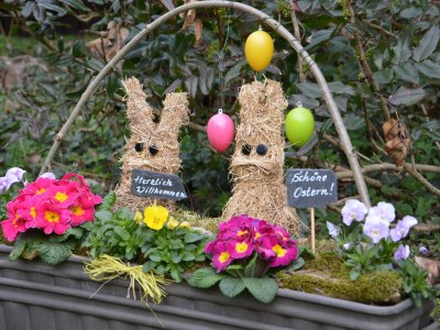 Holiday apartment Nimtz - Outdoor photo 7