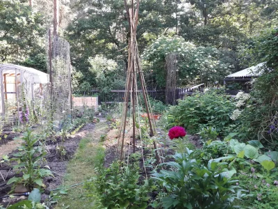 Holiday apartment Nimtz - Outdoor photo 8