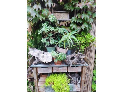 Holiday apartment Nimtz - Outdoor photo 9