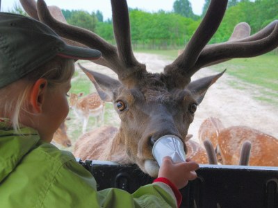 Holiday apartment Nimtz - Environment photo 23