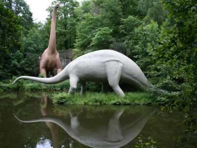 Holiday apartment Nimtz - Environment photo 26