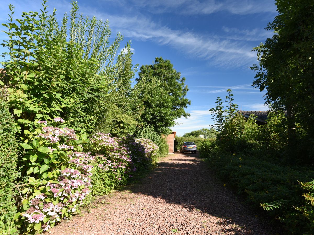 Holiday house de kok - Outdoor photo 3