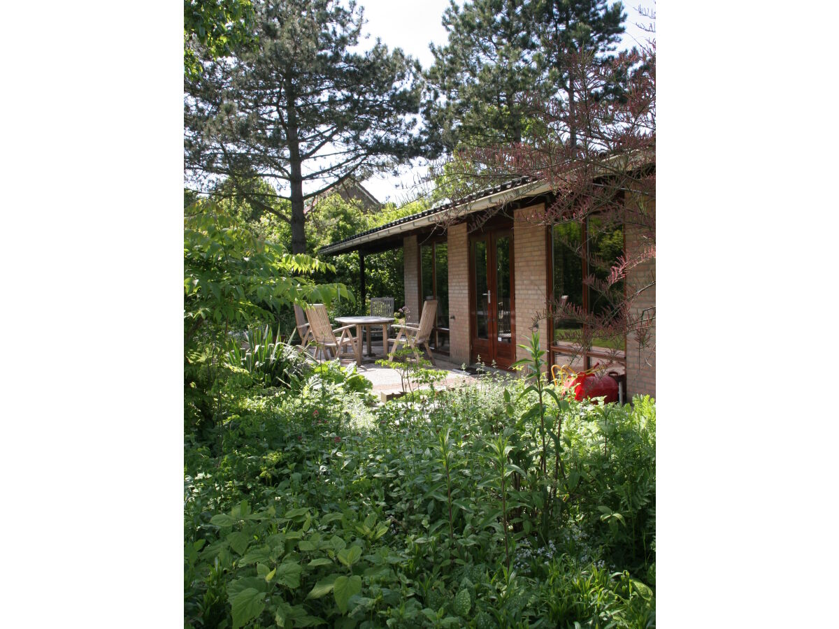 Holiday house de kok - Outdoor photo 5