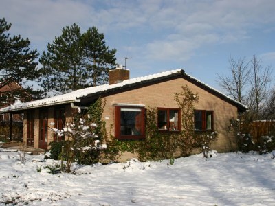 Holiday house de kok - Outdoor photo 2