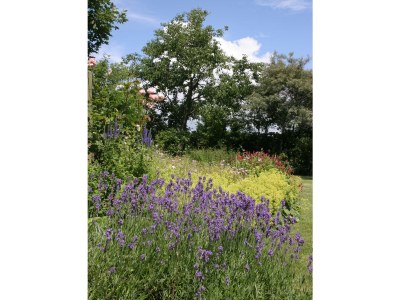 Holiday house de kok - Outdoor photo 8