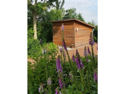 Holiday house de kok - Outdoor photo 9