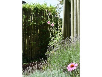 Holiday house de kok - Outdoor photo 11