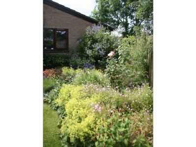 Holiday house de kok - Outdoor photo 12