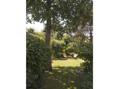 Holiday house de kok - Outdoor photo 13