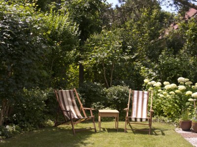 Holiday house de kok - Outdoor photo 14